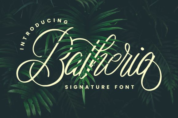 Batheria Script Font for Elegant Brand Identity