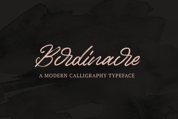 Birdinaire Script Handwritten Font for Elegant Branding