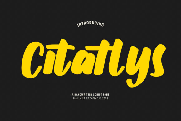 Citatlys: A Playful Script Font for Editorial Design