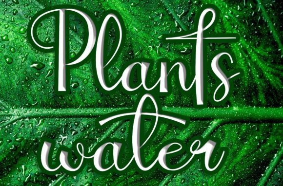 Plantswater Script Font for Handmade Makers